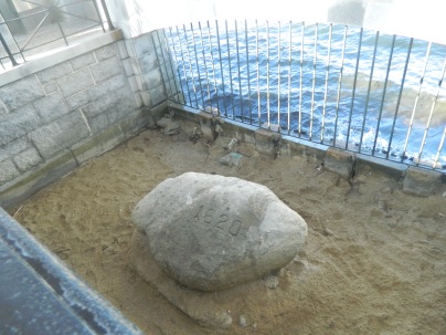 Plymouth Rock_2